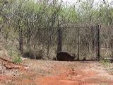 access-gate-to-fencing