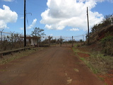 back-gate
