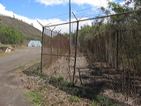 double-fence-clearing