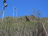 fence-and-light-towers