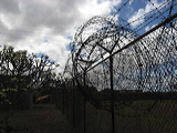 fencing
