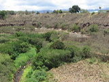 view-of-d-group