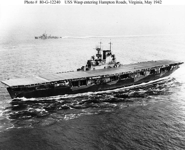 wasp.g12240.jpg