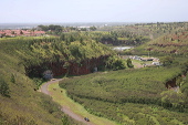 08