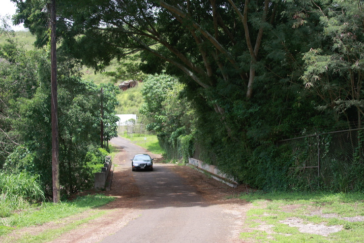 09.jpg